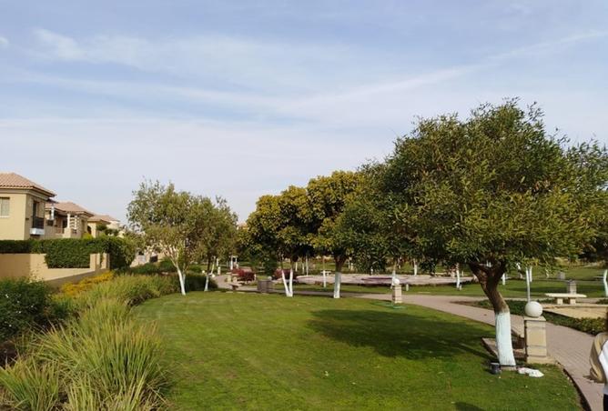 8200240 - Property Image 3