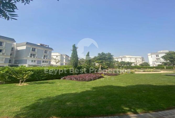 8197519 - Property Image 3