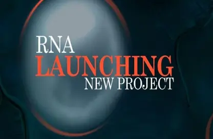 شقة - 2 غرف نوم - 2 حمامات للبيع في القاهرة - التجمع السادس - مدينة القاهرة الجديدة - القاهرة