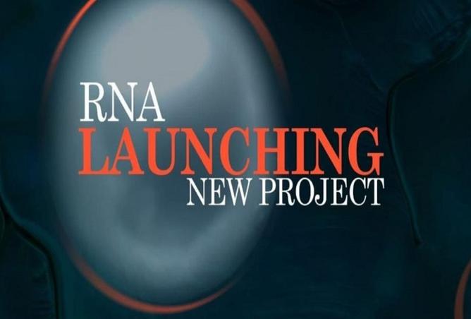 8193304 - Property Image 2