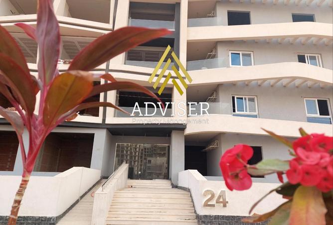 7984137 - Property Image 3