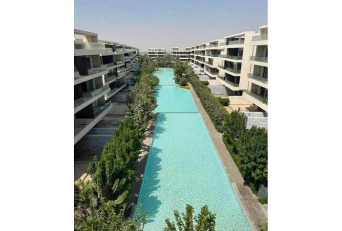 7913825 - صورة العقار 2