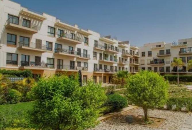 8097793 - Property Image 3