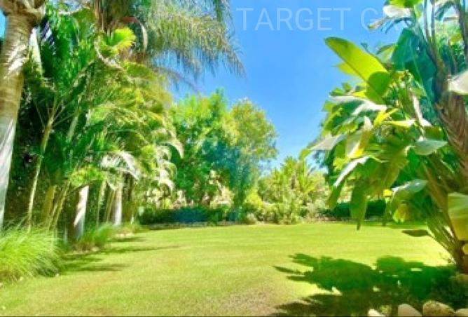 8142468 - Property Image 3