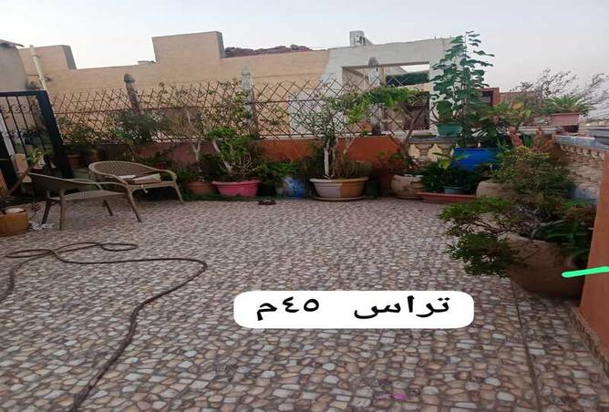 7981785 - صورة العقار 3