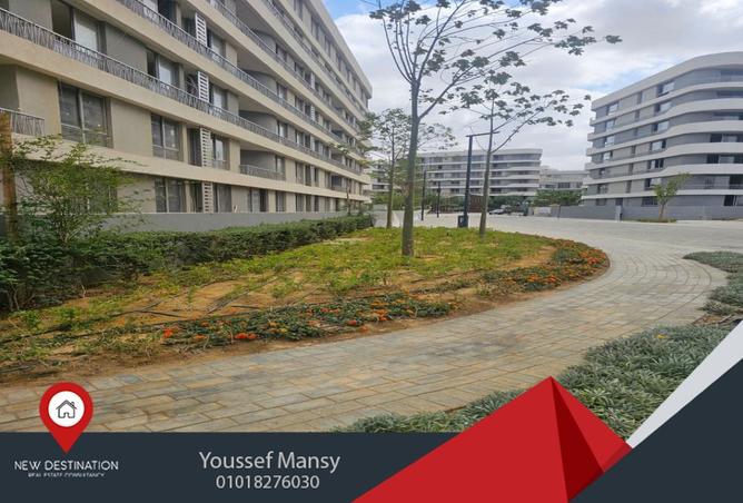 8244359 - Property Image 2