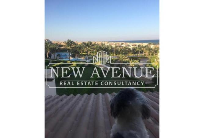 8342727 - الصورة الرئيسية للعقار