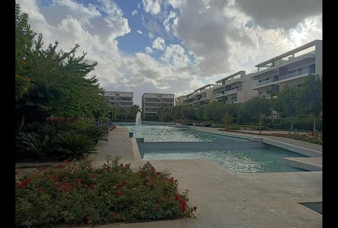 8241221 - صورة العقار 3