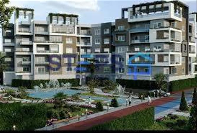 8247835 - Property Image 3