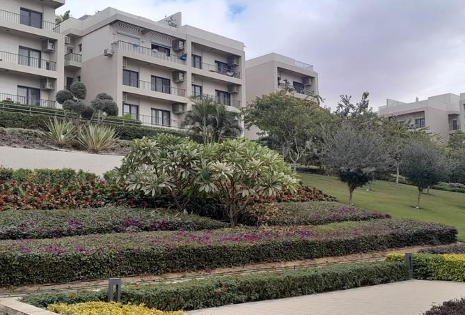 8539387 - الصورة الرئيسية للعقار