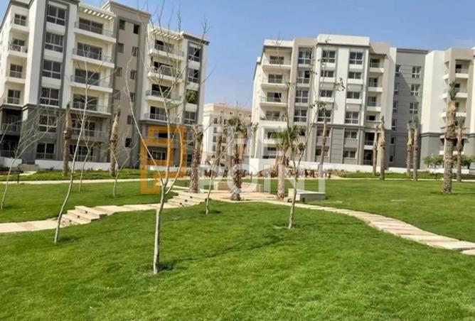 8384720 - Property Image 3