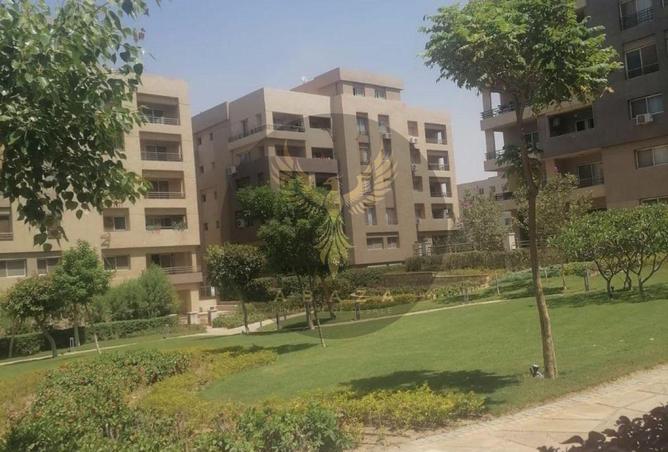 8432396 - Property Image 3