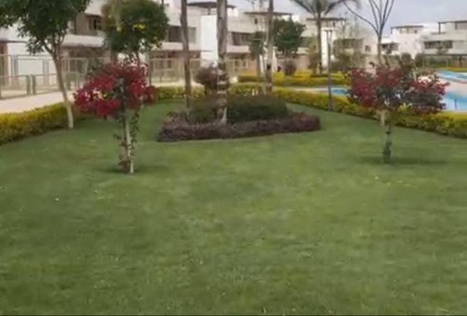 8087855 - صورة العقار 2