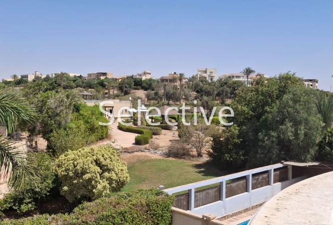 8268898 - صورة العقار 3