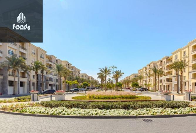 8019098 - Property Image 3