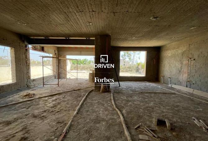 8337552 - Property Image 3