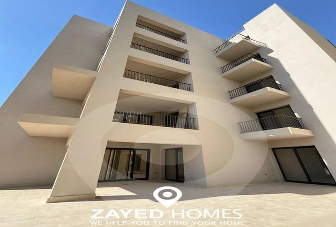8023920 - Property Image 3