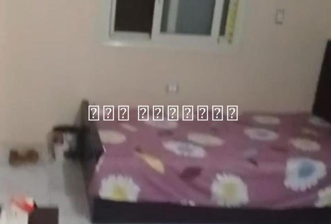 8205205 - Property Image 3