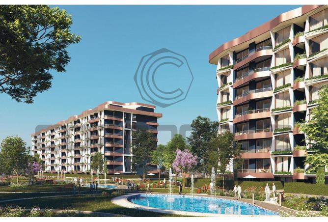 8078508 - Property Image 3