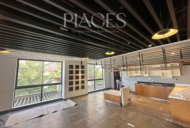 8040033 - Property Image 3