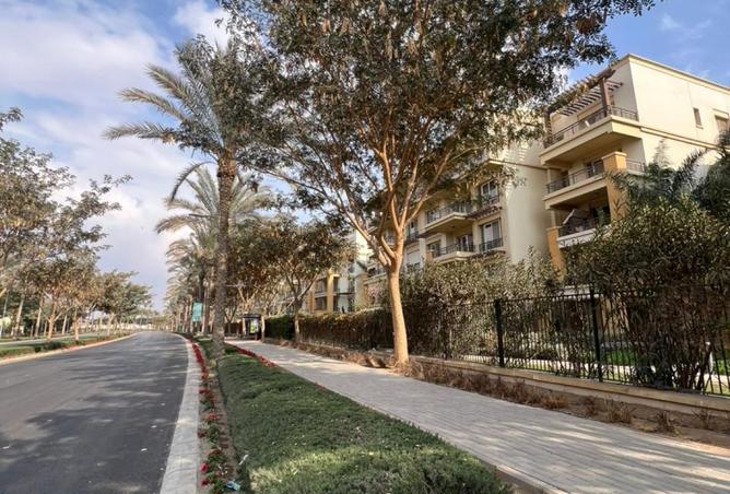 8127293 - Property Image 3