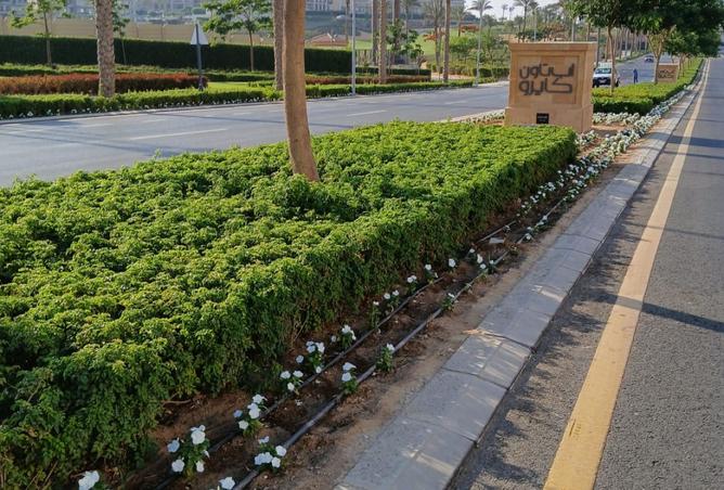 8358801 - صورة العقار 3