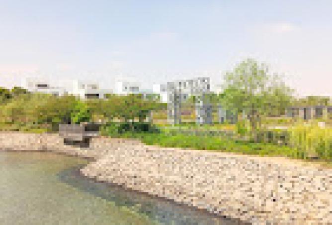 8261320 - صورة العقار 2