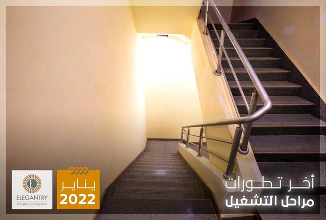 8143546 - Property Image 3