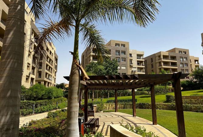 8305395 - الصورة الرئيسية للعقار