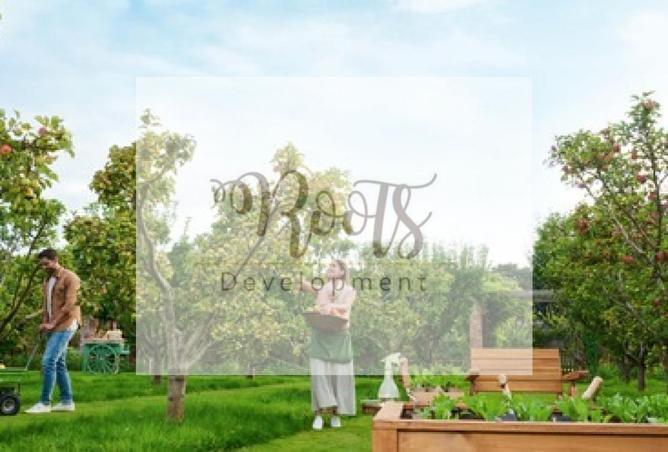 8104431 - Property Image 3