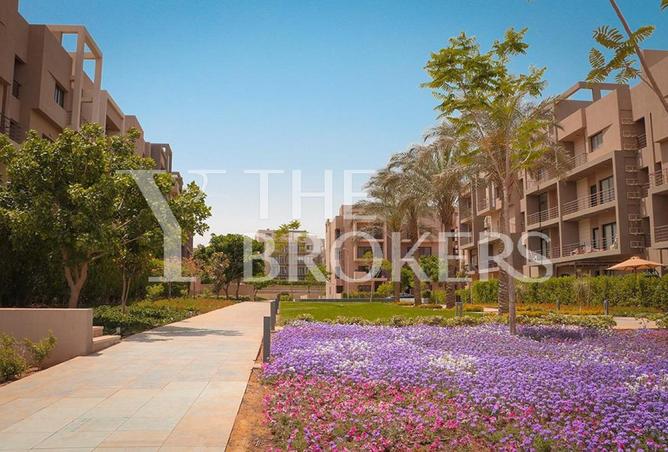 7946182 - Property Image 3