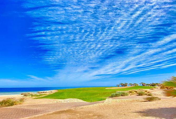 8407104 - صورة العقار 3