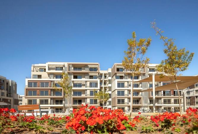 8291063 - Property Image 3