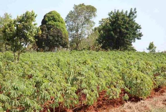 8429585 - Property Image 3