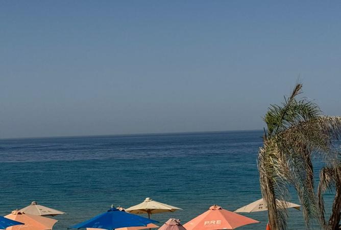 8307136 - Property Image 3