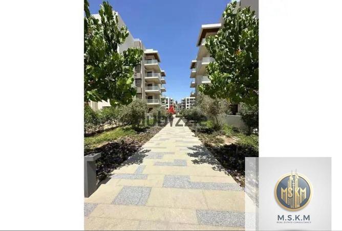 8516653 - صورة العقار 2