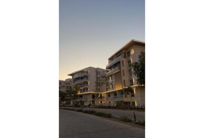 8309710 - Property Image 3