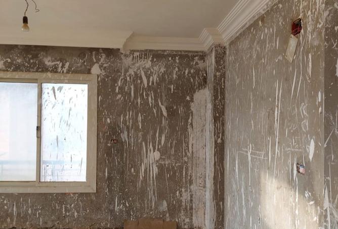 8426243 - Property Image 3