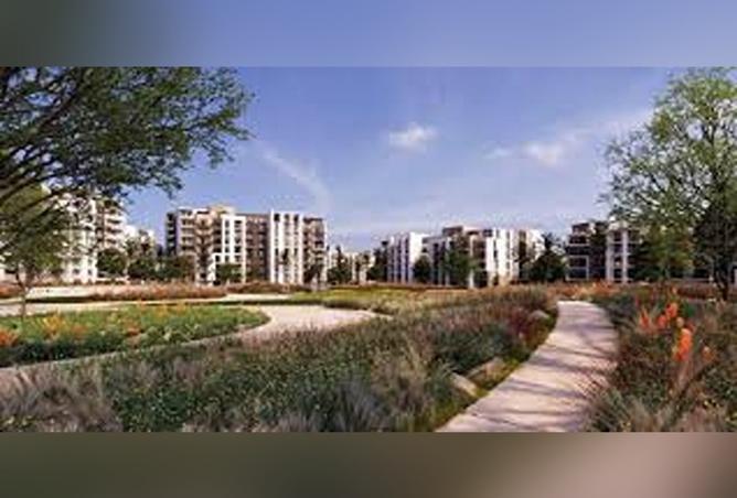 8165634 - Property Image 3