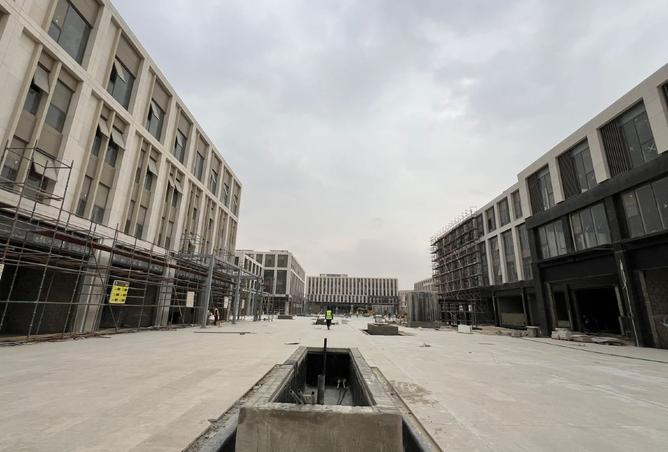 8394988 - Property Image 2