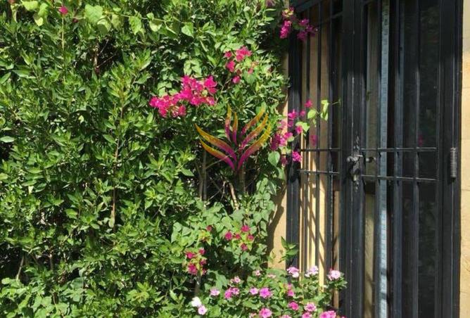 8183618 - Property Image 3