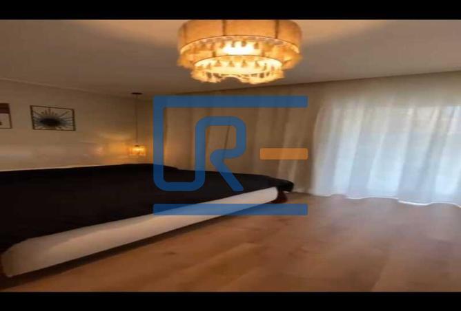 7996068 - Property Image 3