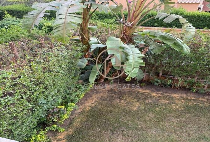 8187993 - Property Image 2