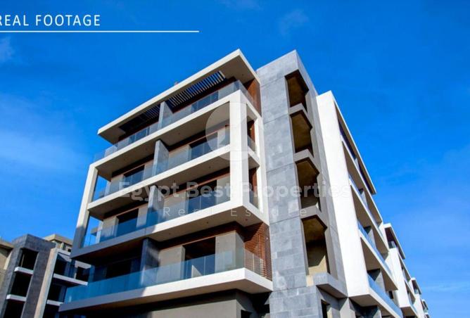 8275460 - Property Image 3