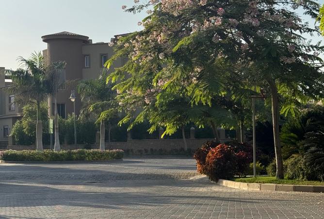 8323168 - Property Image 3