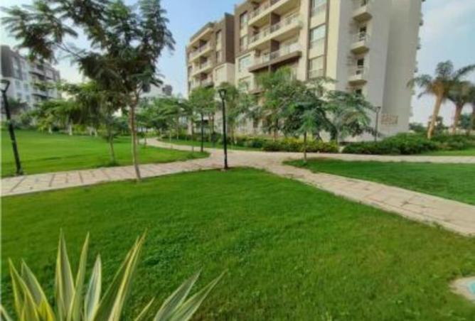 8496432 - Property Image 3