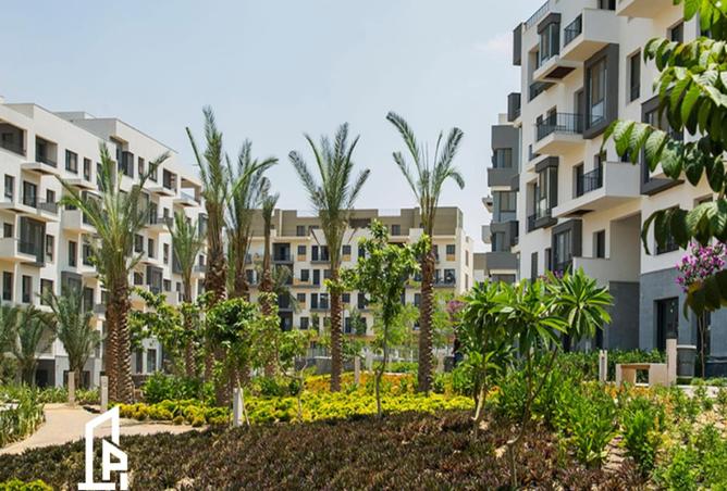 8446282 - Property Image 3