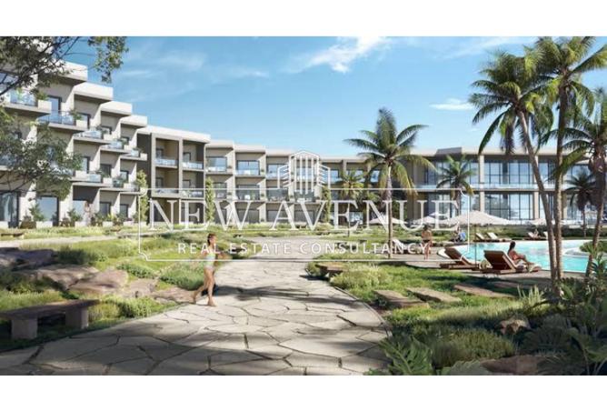 8485571 - Property Image 2