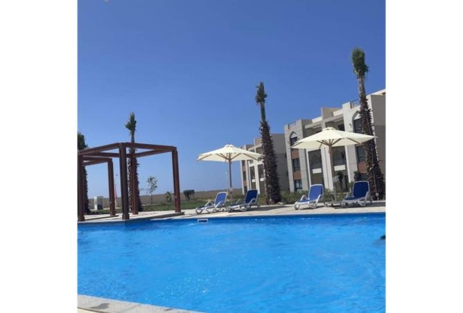 7956634 - صورة العقار 2