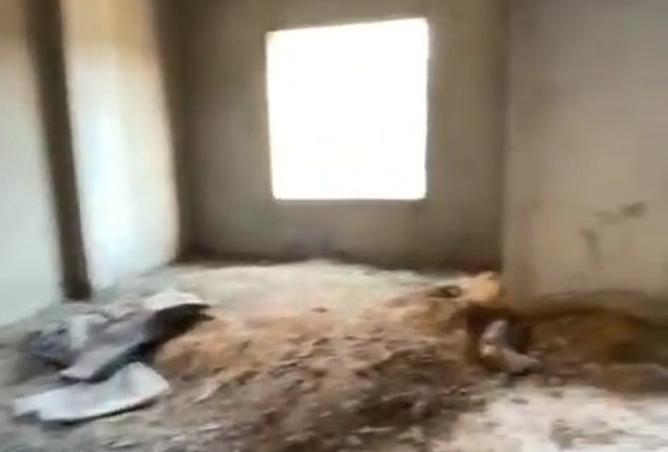 8291070 - Property Image 2